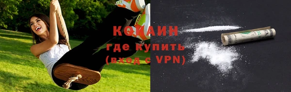 сатива Абаза