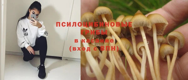 сатива Абинск