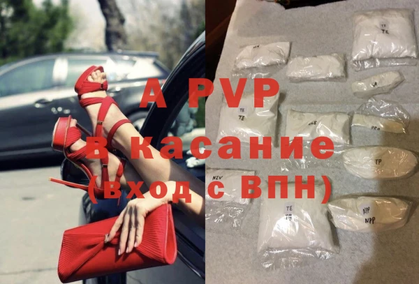 сатива Абаза