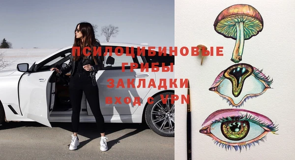 сатива Абинск