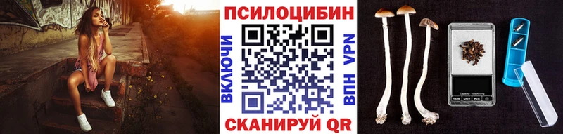 Галлюциногенные грибы MAGIC MUSHROOMS купить сайты Псков