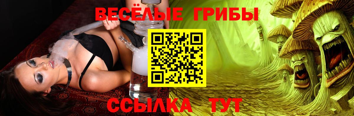 Галлюциногенные грибы Psilocybe  Вход с VPN  Псков  Галлюциногенные грибы мицелий 