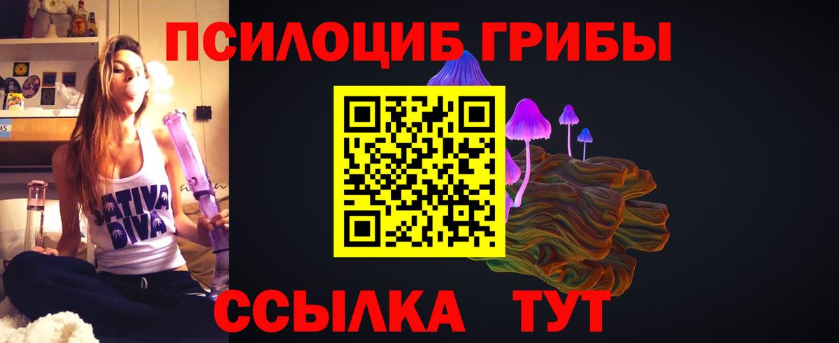Псилоцибиновые грибы мухоморы Псков